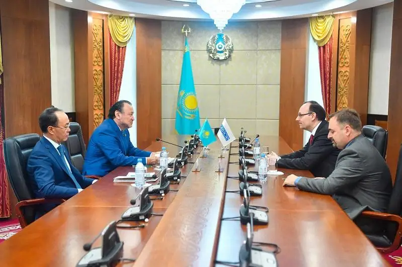 Сенаторы встретились с главой Офиса ОБСЕ в Нур-Султане