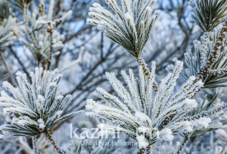 الداعى ءۇش كۇندە 25 گرادۋسقا دەيىن اياز بولادى