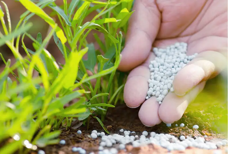 Производство азотных удобрений сократилось в Казахстане