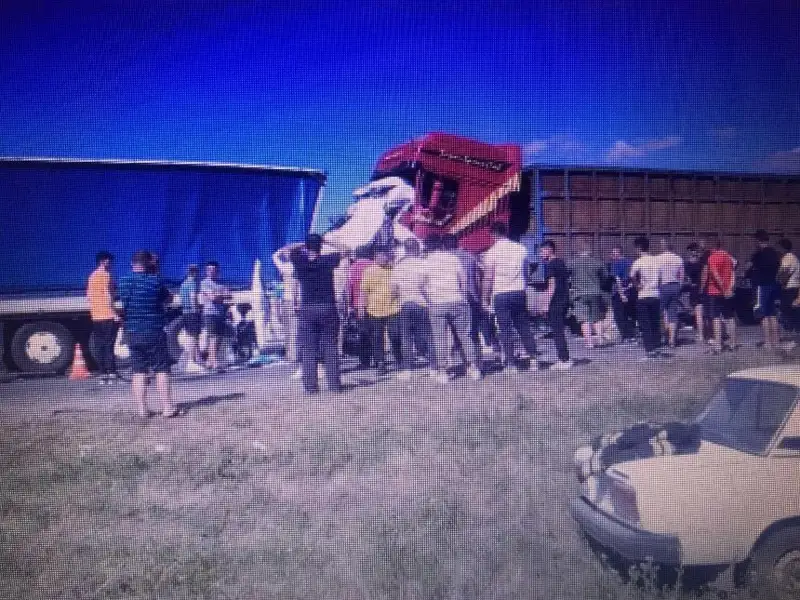 Двое россиян и 14 граждан Кыргызстана погибли в ДТП в Ульяновской области РФ