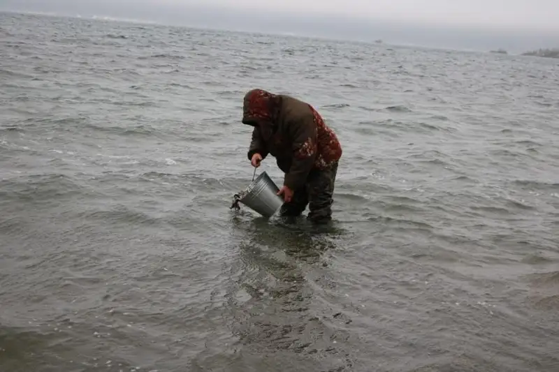 60 тысяч молоди карпа выпустили в озера нацпарка «Бурабай»