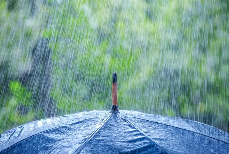 Осадки в два раза больше декадной нормы выпали за сутки в районах СКО