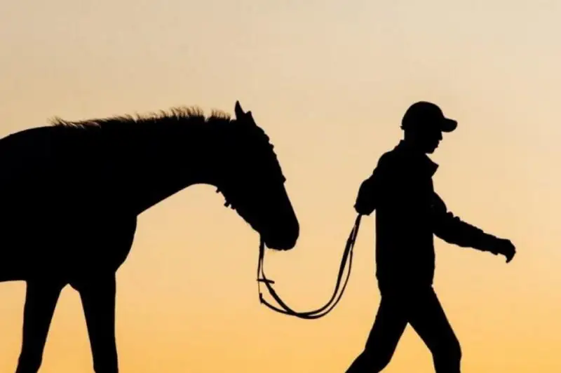 نۇر-سۇلتاندا مۇگەدەك بالالاردى وڭالتۋعا ارنالعان ات سپورتى كەشەنى سالىنىپ جاتىر