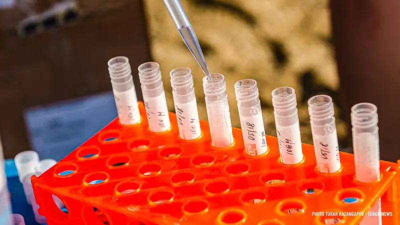 رەسەيلىك عالىمدار كوروناۆيرۋسقا قارسى ءۇش ءدارى ازىرلەدى