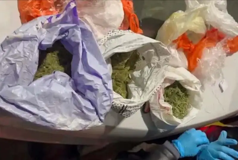 Поставщика марихуаны из южных регионов задержали акмолинские полицейские