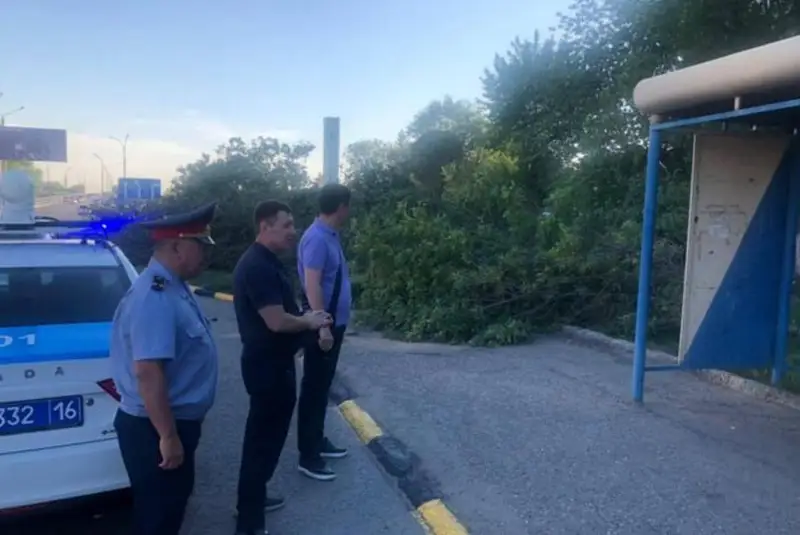 Деревья вырубили у моста в Семее