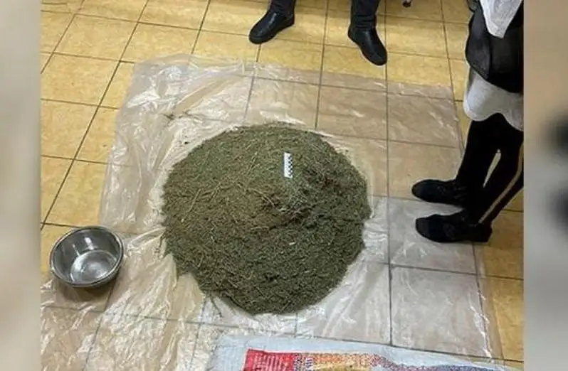 14 кг марихуаны изъяли полицейские у жителя Петропавловска