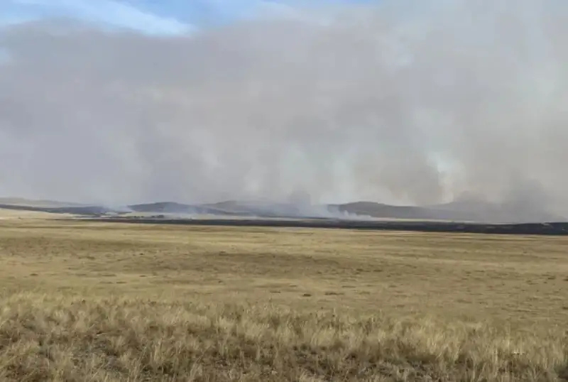 Степной пожар разгорелся в Павлодарской области
