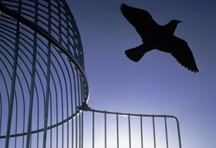 قۇربان ايتتىڭ قۇرمەتىنە 700 گە تارتا تۇتقىنعا راقىمشىلىق جاسالادى