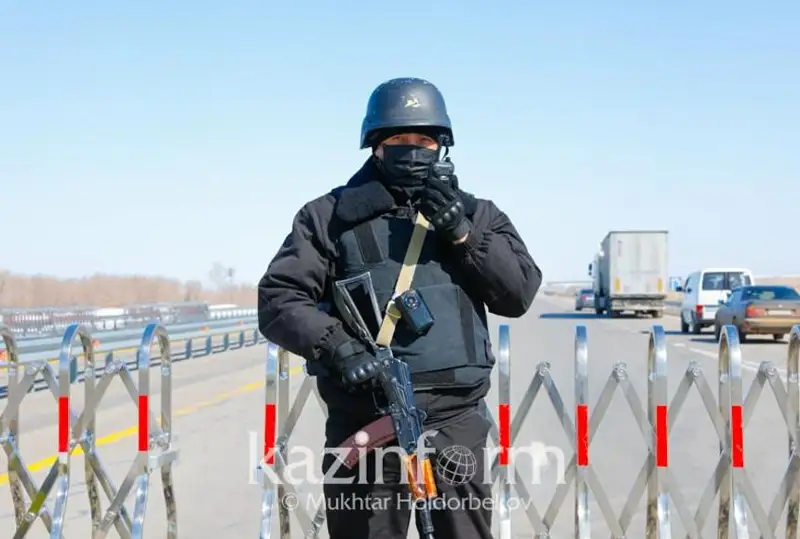 В местах концентрации соколов-балобанов установят блокпосты в РК