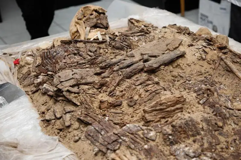 ميالى قورعانىنان تابىلعان ساۋىتتى ادامنىڭ باس سۇيەگى ماجارستاندا قالپىنا كەلتىرىلەدى