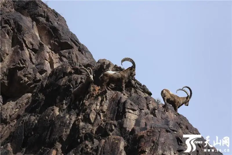 Қазақстан инвестиция салуға ең қолайлы елдердің бірі  - Шетелдегі қазақ тілді БАҚ-қа шолу