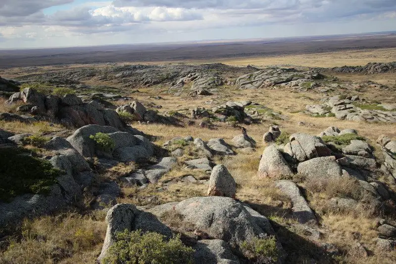 پاۆلودارلىق عالىمدار «قالماق قىرىلعان» شايقاسىن زەرتتەۋدە