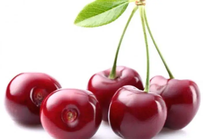 عالىمدار شيە دەنساۋلىق ءۇشىن وتە پايدالى ەكەنىن انىقتادى