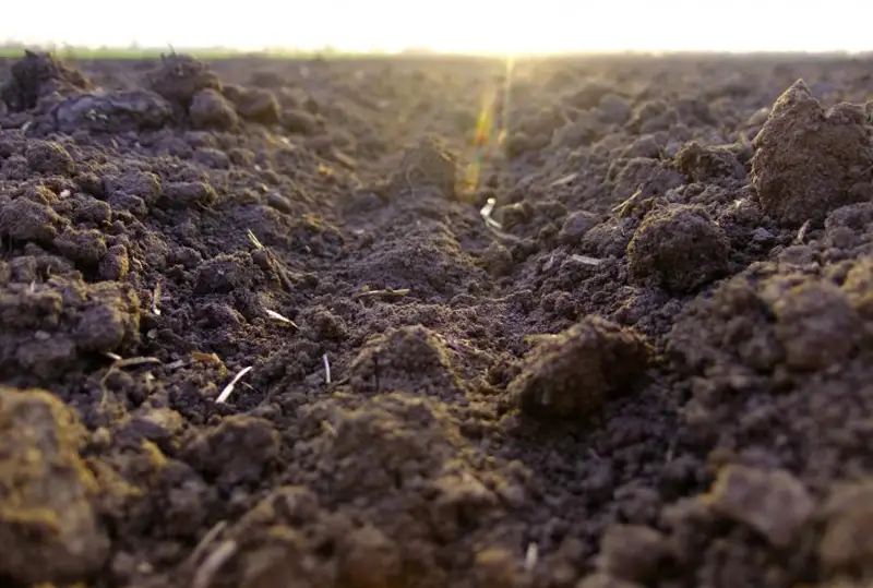 Синоптики сообщили о недостаточном уровне влаги на полях ЗКО