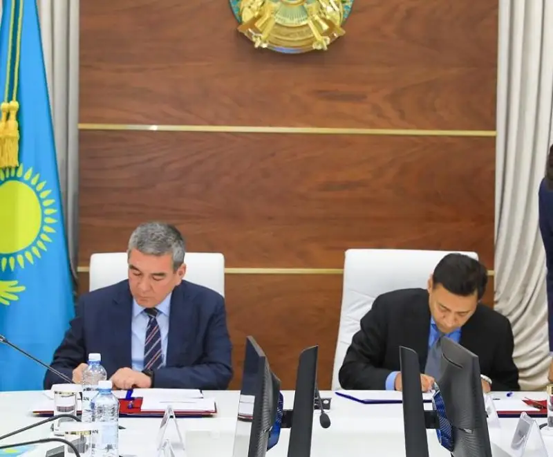 Ферросплавный завод планируют построить инвесторы в Жамбылской области