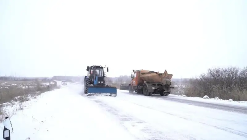 Главная ценность - профессиональные кадры