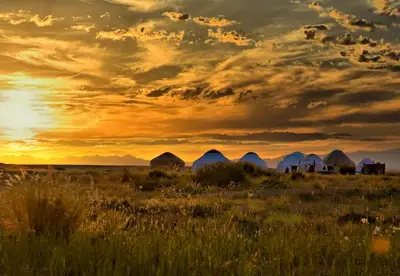 وزدەرى اسىعىپ جۇرگەن ۇرى ەكەن...