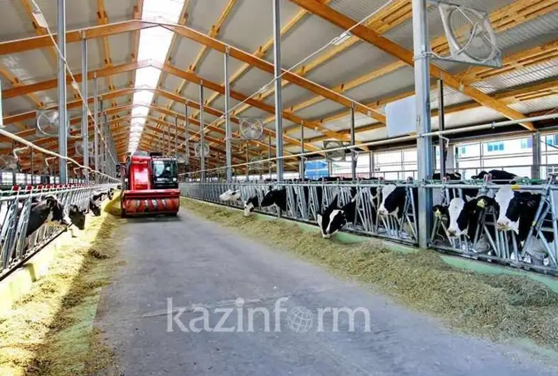 Prezıdent ónimdi fermerlerden tikeleı satyp alýǵa qatysty tapsyrma berdi