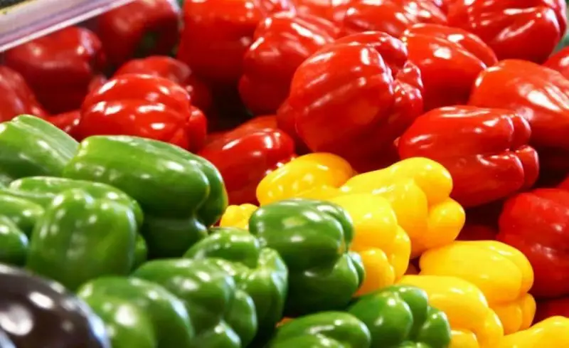 ديەتولوگ كوروناۆيرۋستى جۇقتىرعان سوڭ اعزانى تەز قالىپقا كەلتىرەتىن ءونىمدى اتادى