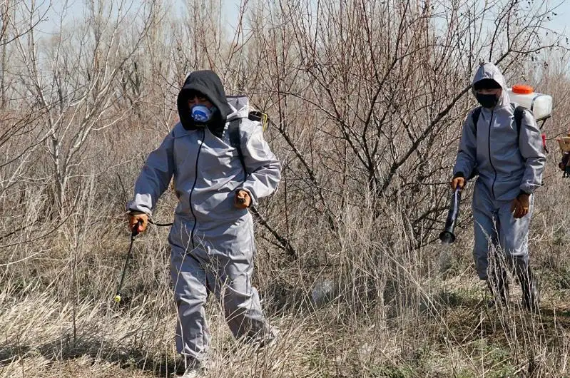 Oralda shybyn-shirkeımen kúreske 93 mln teńge bólindi