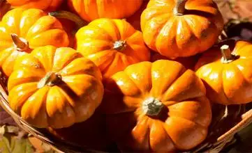 اسقاباق - مىڭ دا ءبىر دەرتكە داۋا