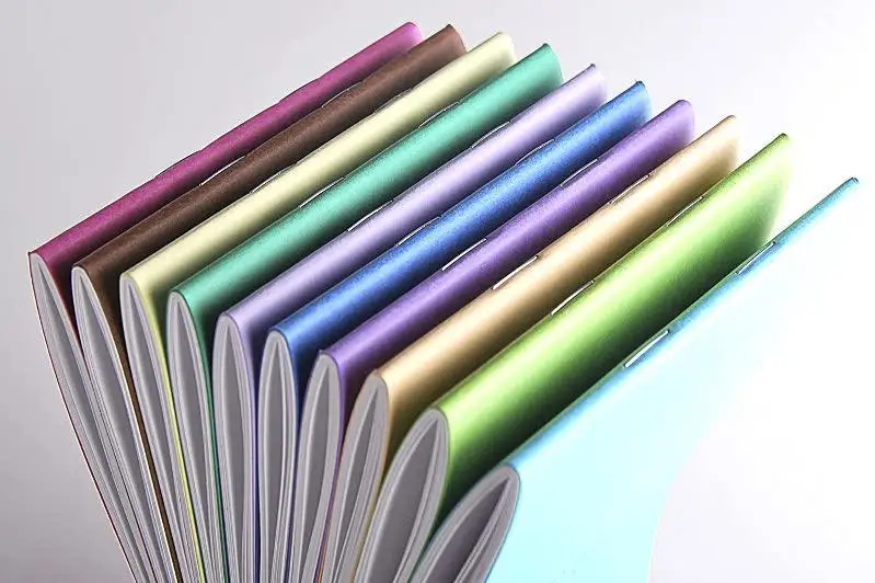 ءبىلىم مەكەمەسى ءبىر داپتەردى 95 مىڭ تەڭگەگە ساتىپ الماقشى بولعان - اقمولا وبلىسى