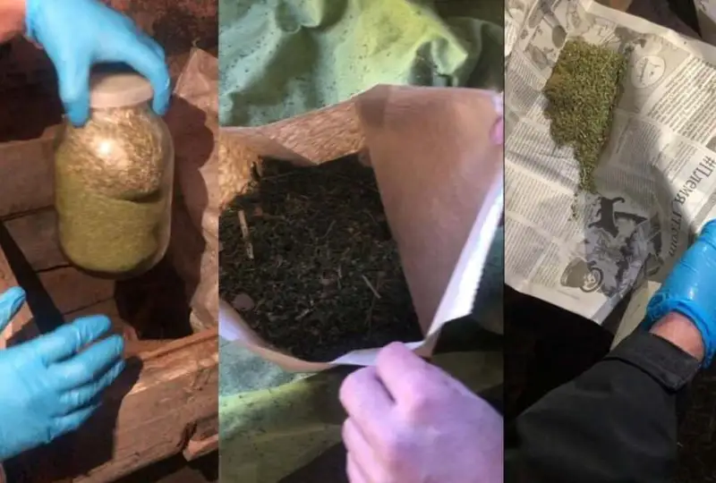 Свыше 1 кг марихуаны хранил на пасеке житель Катон-Карагайского района