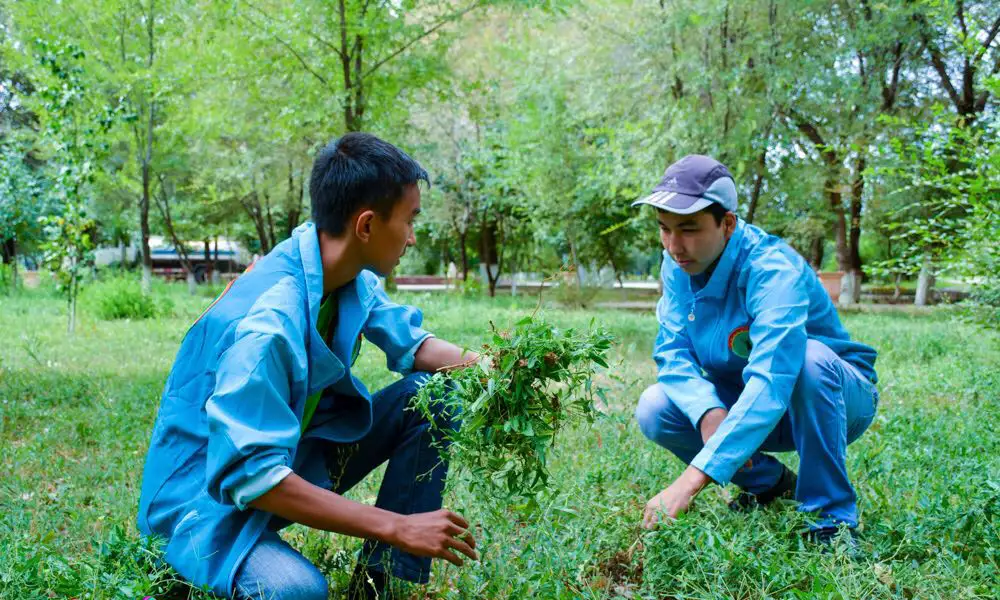 Атырау облысында &laquo;Жасыл Ел&raquo; жасағының саны артады