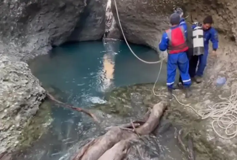 Тело утонувшего студента нашли в Туркестанской области