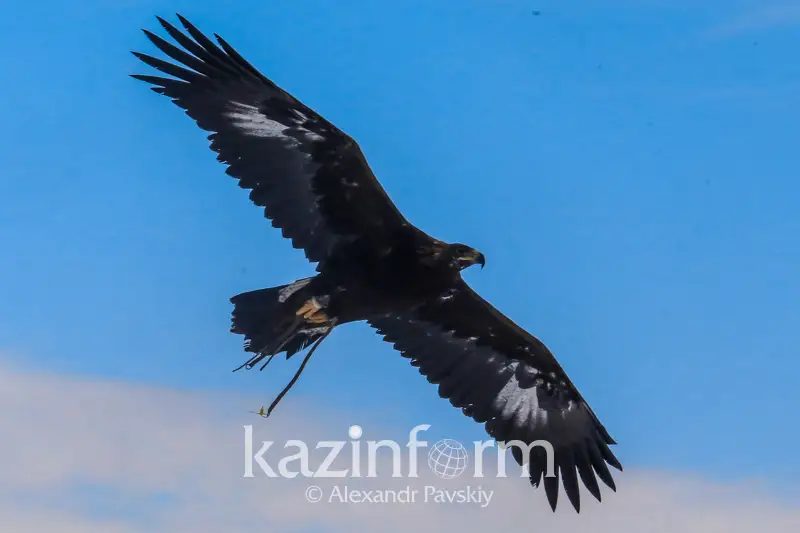 &Ograve;&Ograve;&plusmn;&Ntilde;&ETH;&plusmn;&ETH;&micro;&ETH;&sup3;&Ntilde;&ETH;&raquo;&ETH;&micro;&Ntilde;&ETH;&acute;&Ntilde;&Ograve;&pound; &ETH;&ETH;&middot;&ETH;&cedil;&Ntilde; &Ntilde;&ETH;&micro;&ETH;&frac14;&ETH;&iquest;&ETH;&cedil;&ETH;&frac34;&ETH;&frac12;&ETH;&deg;&Ntilde;&Ntilde;: &ETH;&Ograve;&pound; &Oacute;&Ntilde;&ETH;&micro;&Ntilde;&ETH;&raquo;&Ntilde; &Ntilde;&Oacute;&Ntilde;&Ntilde;&ETH;&micro;&Ntilde;