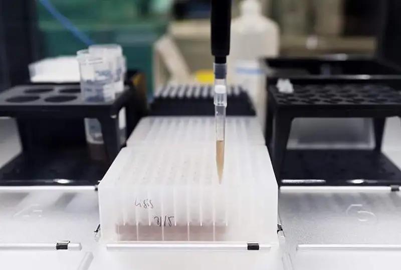 Бразилия подтвердила первую смерть от оспы обезьян