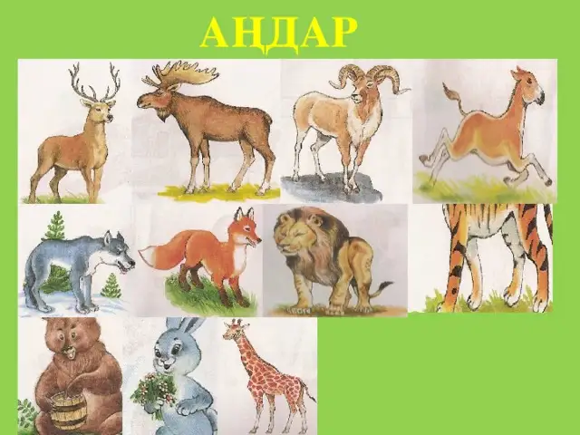 اڭ اتتارىن دۇرىس جازا المايتىنىمىز وكىنىشتى