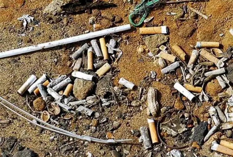 Danııa temeki tuqylyn tazalaýǵa jylyna  5 mln eýro jumsaıdy