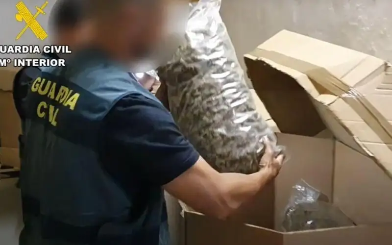 Ispanııada arnaıy operatsııa kezinde 32 tonna marıhýana tárkilengen