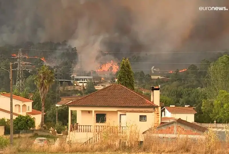 Почти по всей Южной Европе — масштабные лесные пожары