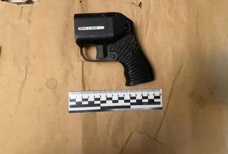 Оружие и боеприпасы хранил у себя дома житель Абайской области