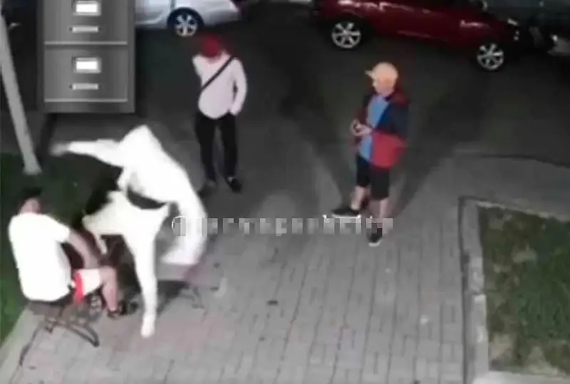 Нападавших на мужчин во дворе жилого комплекса в Алматинской области ищет полиция