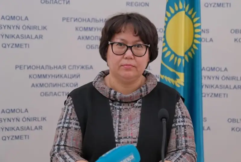 Приемные профессиональные семьи появятся с 2023 года в Акмолинской области