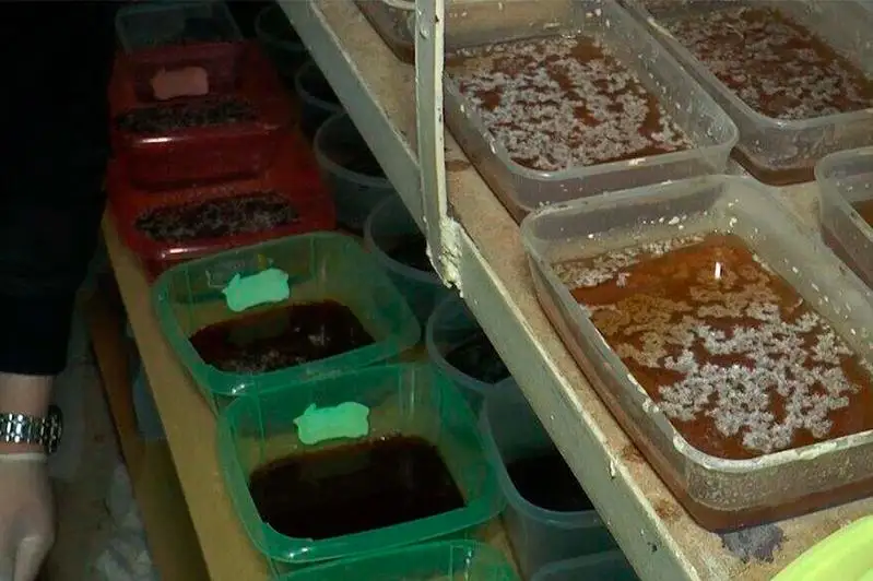 Крупную нарколабораторию ликвидировали полицейские Алматы