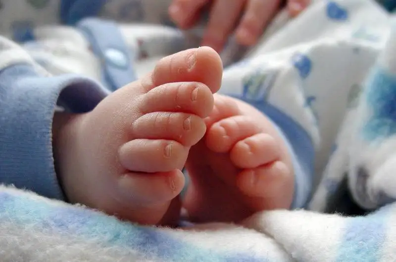 قازاقستاندا سابيلەرگە ەڭ ءجيى قانداي ەسىمدەر قويىلادى