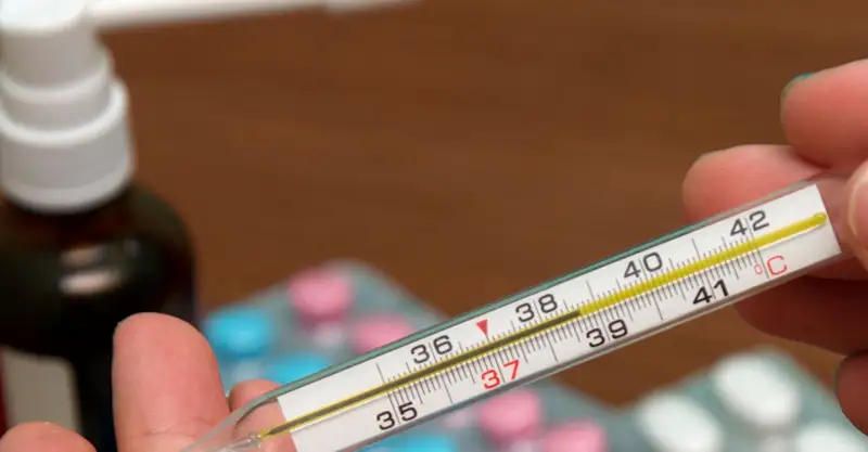 دەنە قىزۋىن قايتاراتىن 8 ءتۇرلى ازىقتىق