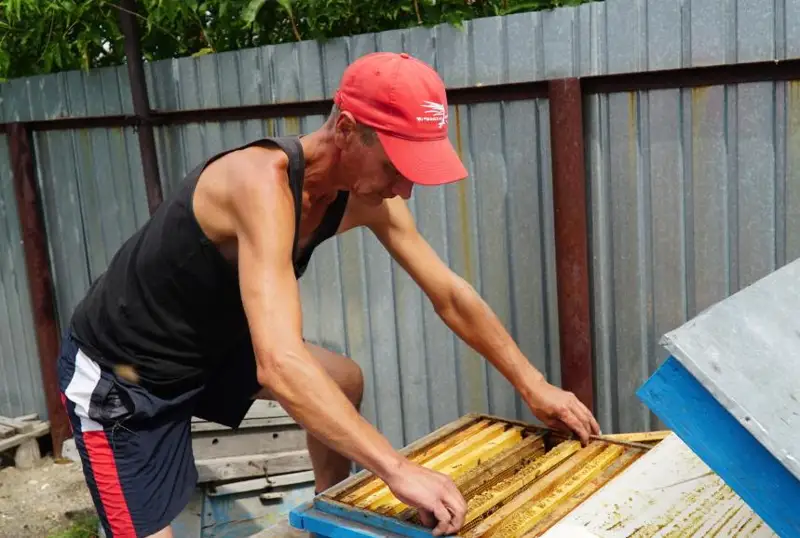 Выращиванием петуний занимаются 150 дворов в селе СКО