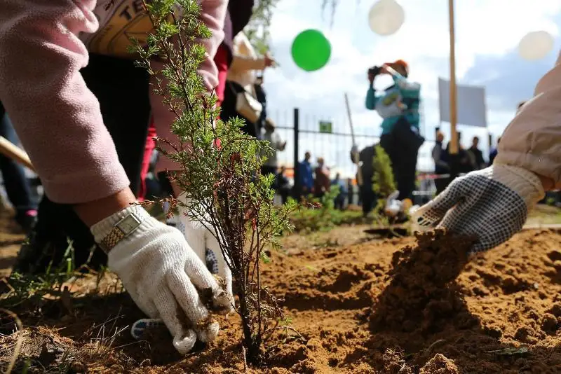 قانداستاردىڭ قاتىسۋىمەن «ۇلى دالا ەلى» اتتى ەتونو اۋىل اشىلدى