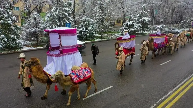 Караван верблюдов прошествовал в праздник весеннего равноденствия по улицам Тараза