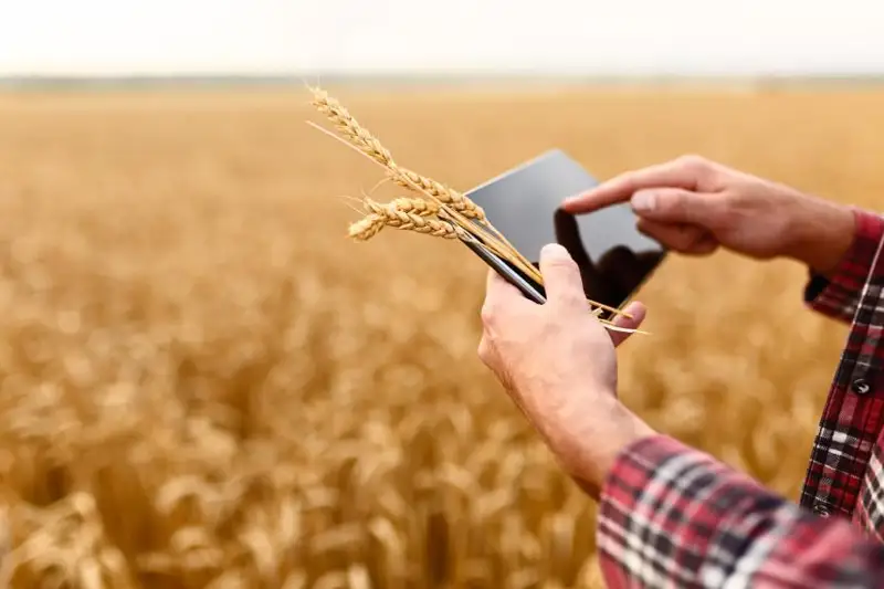 Qazaqstanda agrosaqtandyrý deńgeıi óte tómen – depýtat