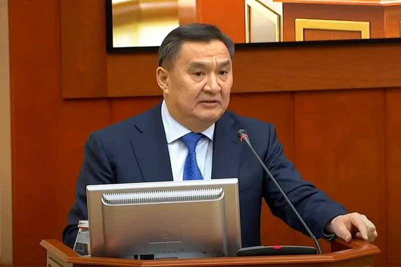 Urlanǵan qarýlardyń áli tolyq tabylmaýy qańtar oqıǵasy tyńǵylyqty josparlanǵanyn kórsetedi – ІІM