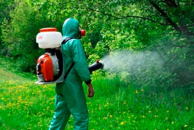 Обработка зеленых насаждений от вредителей проводится в Алматы