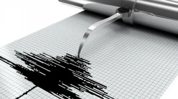 جاپونيادا كۇشى 5,4 بالدىق جەر سىلكىنىسى بولدى
