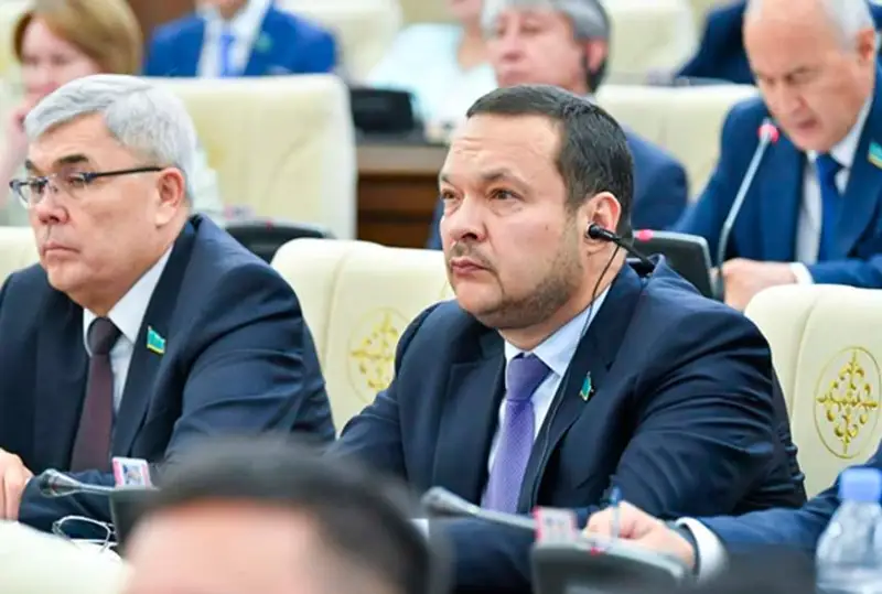 Ввести реестр добросовестных поставщиков по программе «Артспорт» предлагает мажилисмен